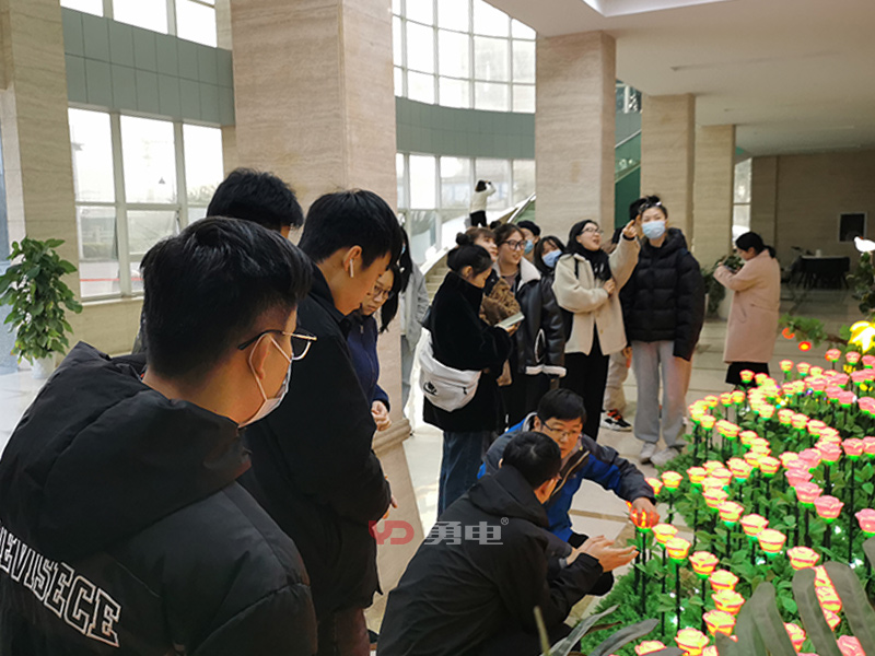 1608972573109300.jpg 6.jpg